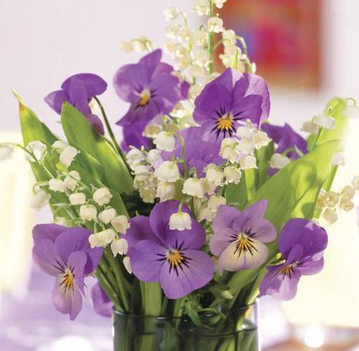 Cover image for Memo Block: Purple Viola