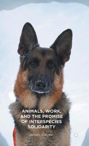 Cover image for Animals, Work, and the Promise of Interspecies Solidarity