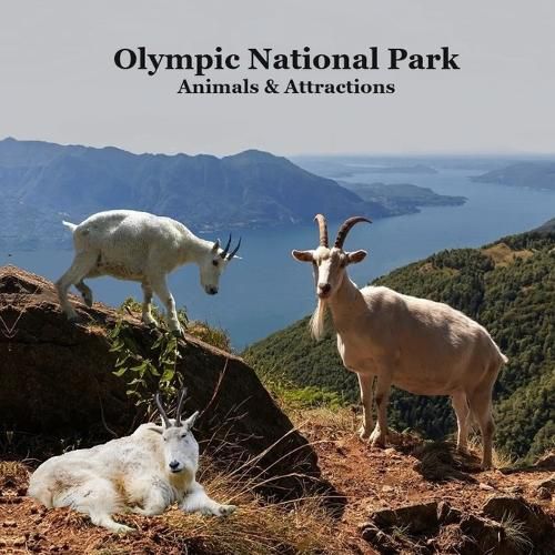 Olympic National Park Animals and Attractions Kids Book