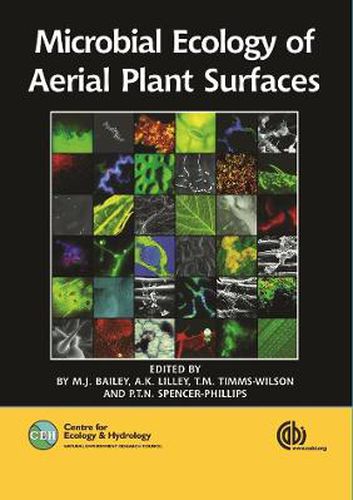 Microbial Ecology of Aerial Plant Surfaces