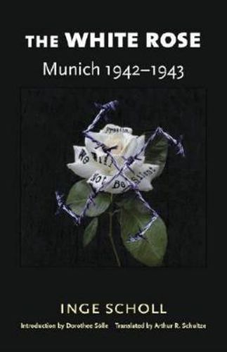 Cover image for The White Rose