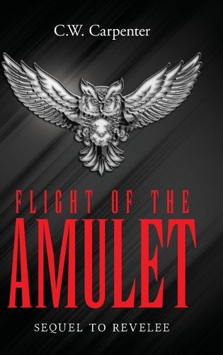 Cover image for Flight Of The Amulet