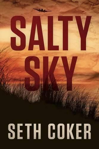 Cover image for Salty Sky