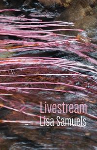 Cover image for Livestream