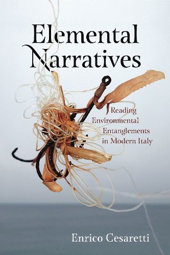 Cover image for Elemental Narratives