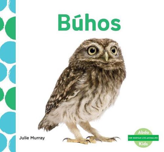 Cover image for B hos (Owls) (Spanish Version)