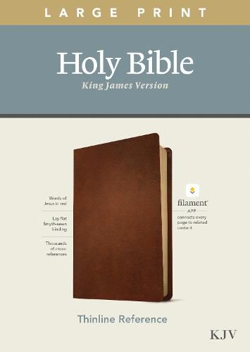 Cover image for KJV Large Print Thinline Reference Bible, Filament Edition