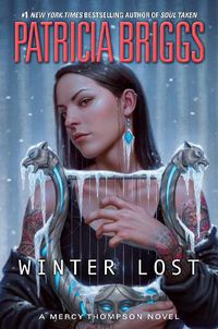 Cover image for Winter Lost