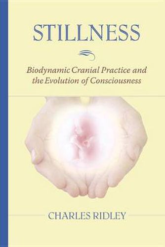 Cover image for Stillness: Biodynamic Cranial Practice and the Evolution of Consciousness