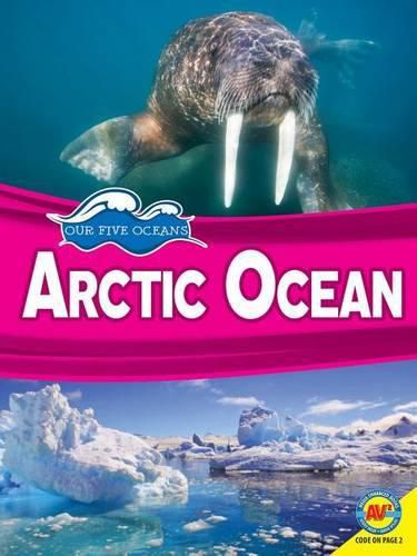 Cover image for Arctic Ocean