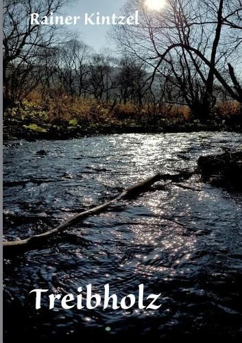 Cover image for Angeschwemmt - Treibholz