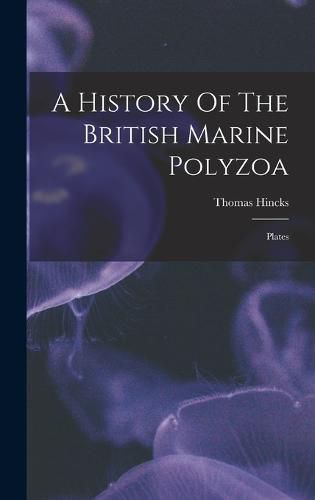 Cover image for A History Of The British Marine Polyzoa