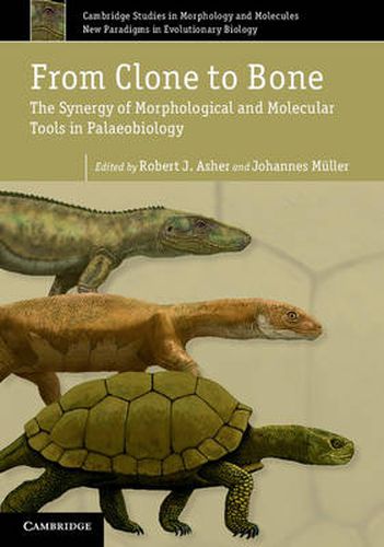 From Clone to Bone: The Synergy of Morphological and Molecular Tools in Palaeobiology