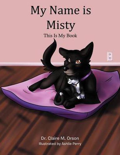 Cover image for My Name Is Misty