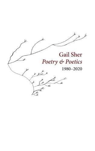 Cover image for Gail Sher Poetry & Poetics 1980-2020