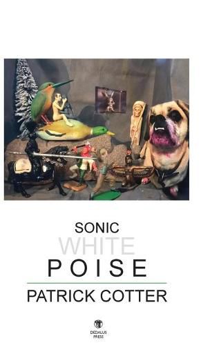 Cover image for Sonic White Poise