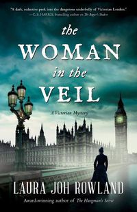Cover image for The Woman In The Veil: A Victorian Mystery