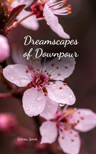 Cover image for Dreamscapes of Downpour