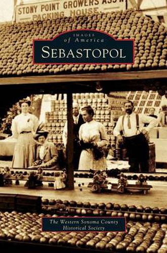 Cover image for Sebastopol