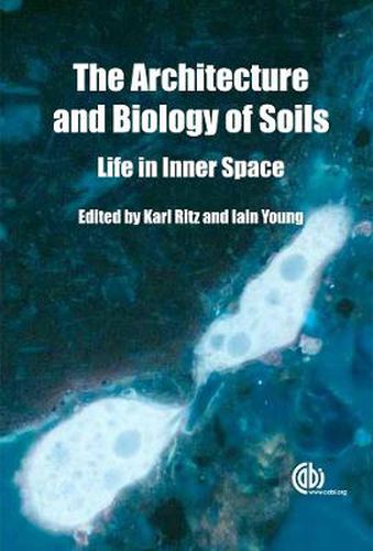 Architecture and Biology of Soils: Life in Inner Space