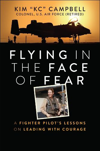 Cover image for Flying in the Face of Fear