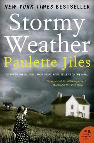 Cover image for Stormy Weather