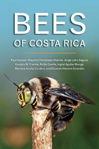 Cover image for Bees of Costa Rica