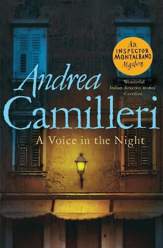 Cover image for A Voice in the Night