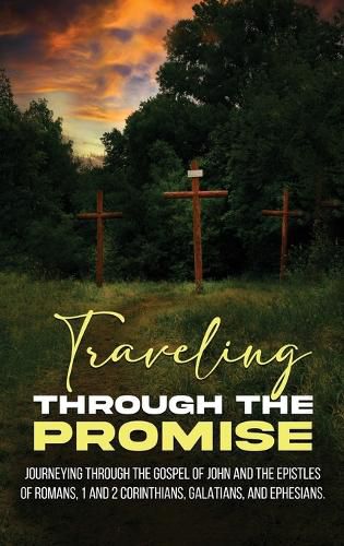 Cover image for Traveling Through the Promise