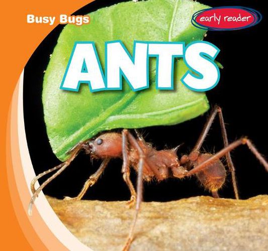 Cover image for Ants