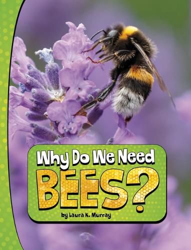 Why Do We Need Bees Nature We Need