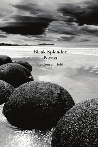 Cover image for Bleak Splendor