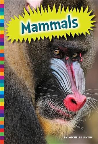 Cover image for Mammals