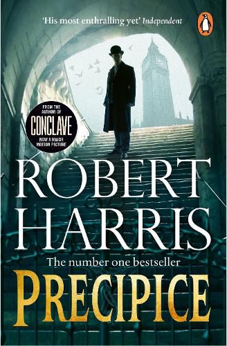 Cover image for Precipice