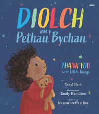 Cover image for Diolch am y Pethau Bychain / Thank you for the Little Things