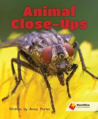 Cover image for Animal Close-Ups