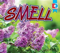 Cover image for Smell