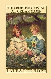 Cover image for The Bobbsey Twins at Cedar Camp