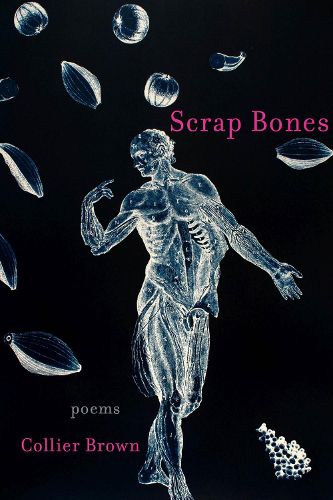 Cover image for Scrap Bones