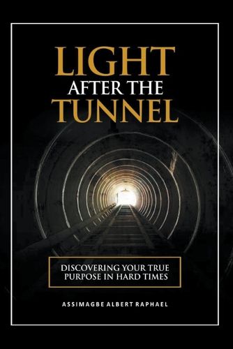 Cover image for The Light After the Tunnel