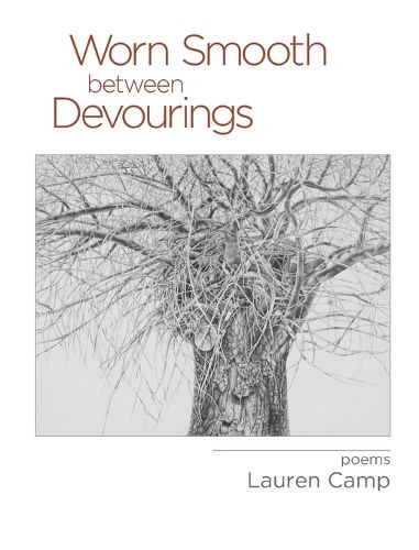 Cover image for Worn Smooth between Devourings