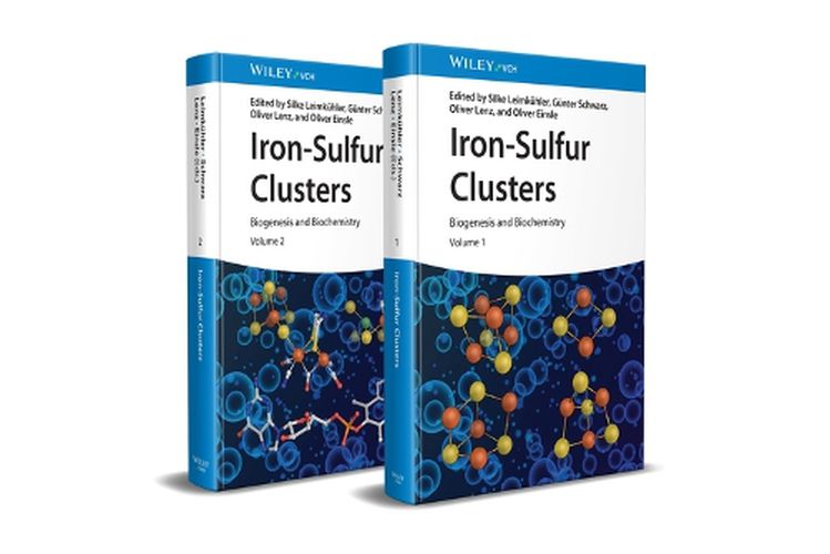Cover image for Iron-Sulfur Clusters
