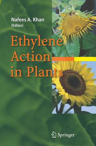 Cover image for Ethylene Action in Plants