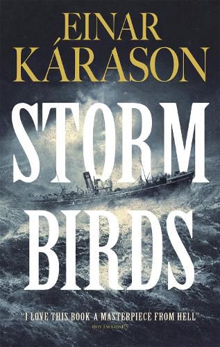 Cover image for Storm Birds