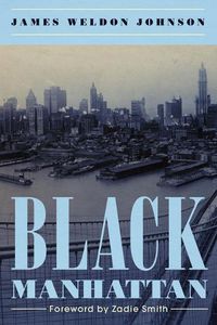 Cover image for Black Manhattan