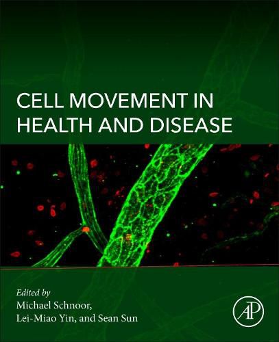 Cover image for Cell Movement in Health and Disease