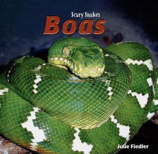 Cover image for Boas