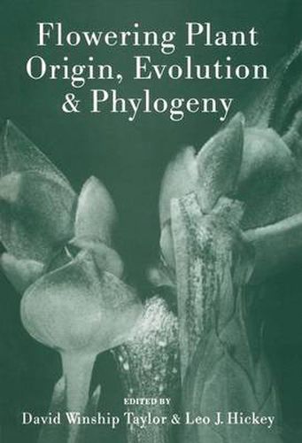 Flowering Plant Origin, Evolution & Phylogeny