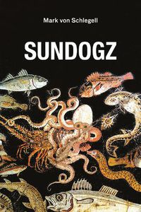 Cover image for Sundogz