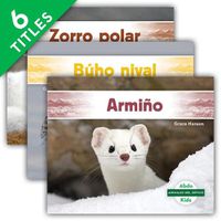 Cover image for Animales del Artico (Arctic Animals) (Set)